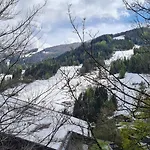 Daire Haus Margaret By Globalimmoservice Bad Kleinkirchheim