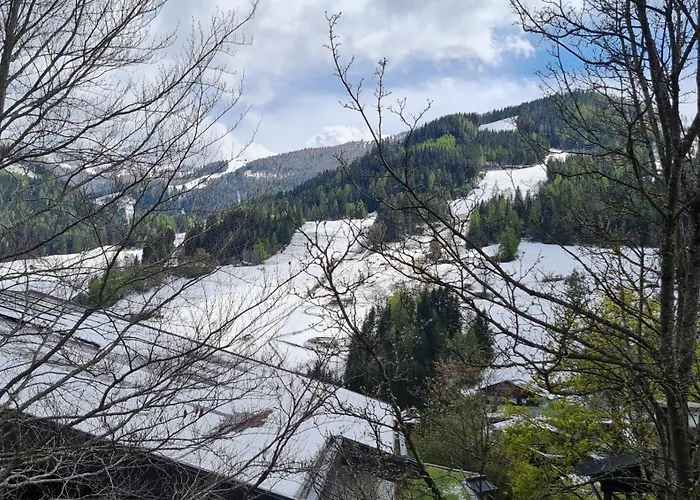 Apartment Haus Margaret By Globalimmoservice Bad Kleinkirchheim